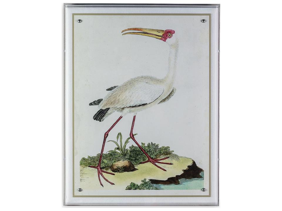 Heron Vii Giclee Print Wall Art with Lucite Shadow Box