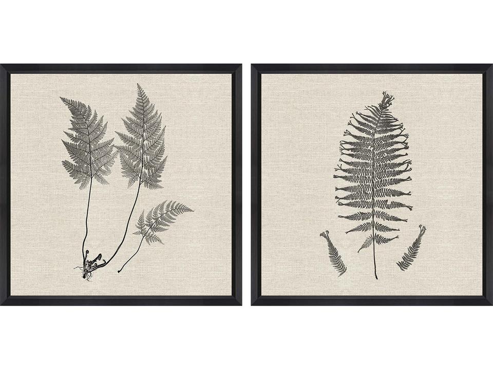 Modern Ferns I Framed Art Set of 2