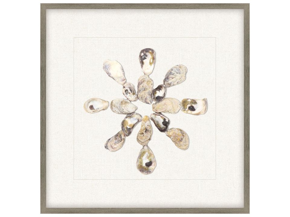 Oyster Shell Series I Framed Coastal Wall Art with Dark Taupe Frame