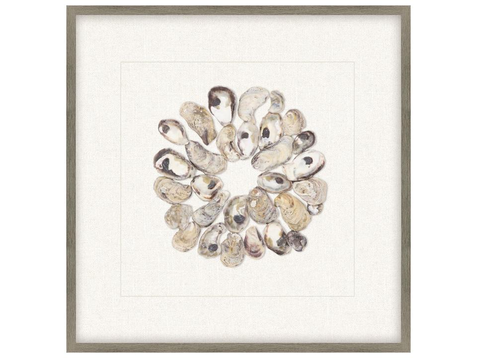 Oyster Shell Series II Shadow Box Framed Art in Dark Taupe Wood