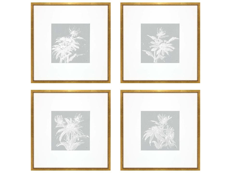 Echinacea Leaf Study Framed Art Set of 4