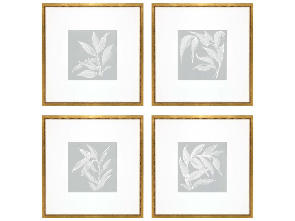 Echinacea Leaf Study Framed Art Set of 4