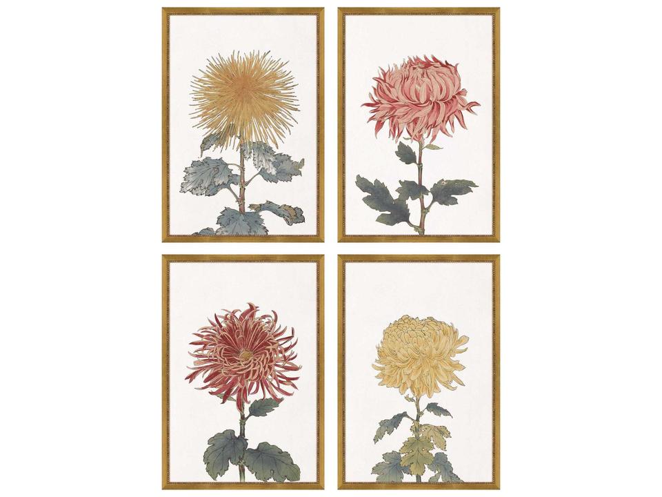 4-Piece Chrysanthemum Botanical Wall Art Set with Gold Frames