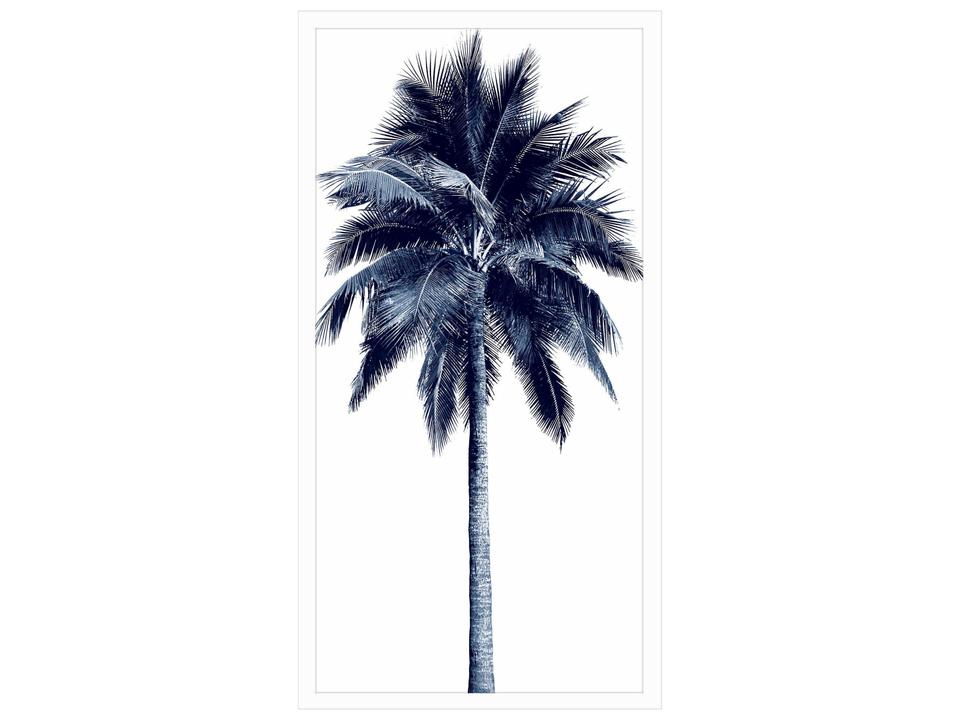 Palm Tree Blue I Framed Giclee Wall Art in White Shadow Box Frame