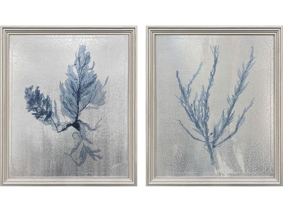 Oceanic Curiosity I Painting Set of 2