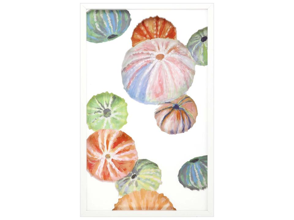 Sea Urchin I Canvas Wall Art in Lacquered White Wood Frame