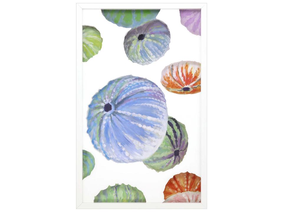 Framed Mixed Media Wall Art Sea Urchin II with White Shadow Box Frame
