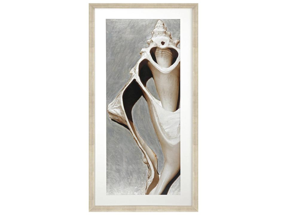 Modern Shell I Framed Wall Art with Abstract Shell Motif