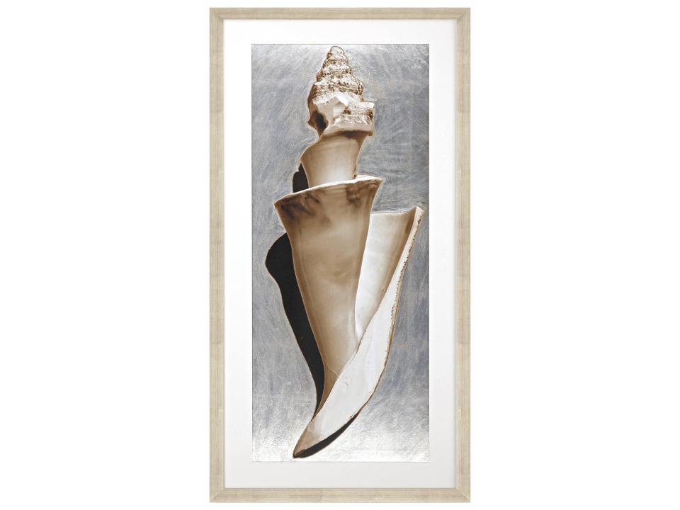 Modern Shell II Contemporary Framed Wall Art