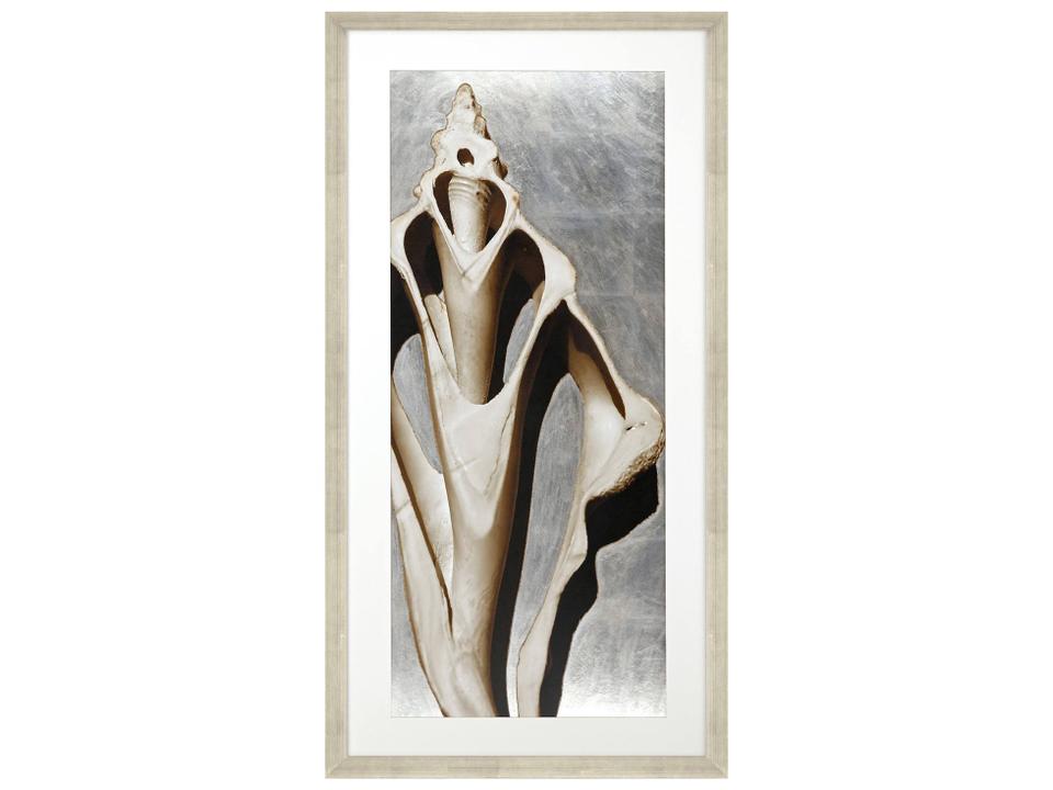 Modern Shell III Framed Wall Art with Silver Leaf
