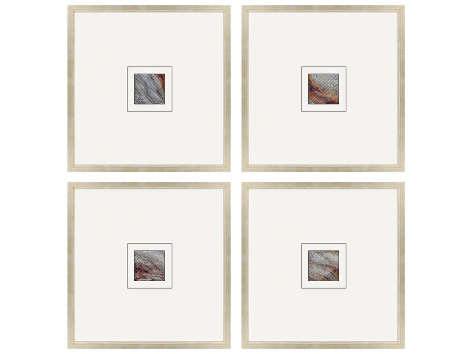 Natural Patterns II Painting Set of 4