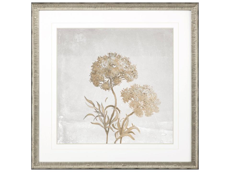 Delicate Beauty I Framed Art