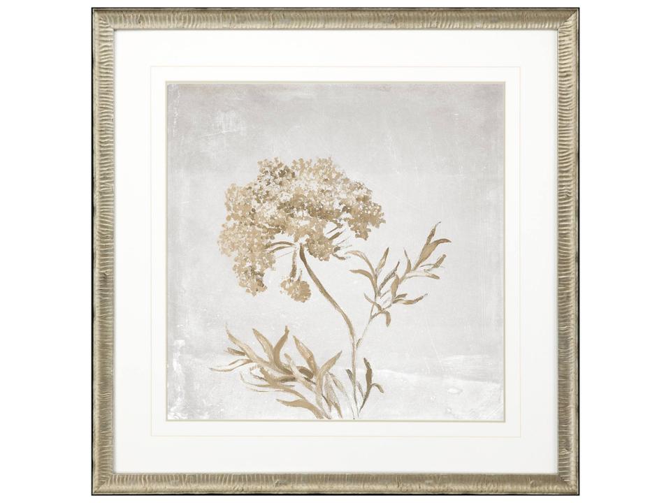 Delicate Beauty II Framed Art by Loreth in Antique Silver Leaf