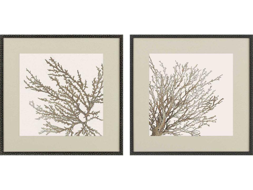 Naturals Taupe Coral Coastal Wall Art Set of 2