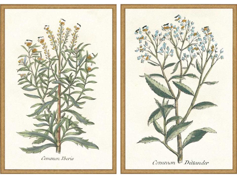 Florals Botanical Plants-I Wall Art Set of 2 in Antique Gold