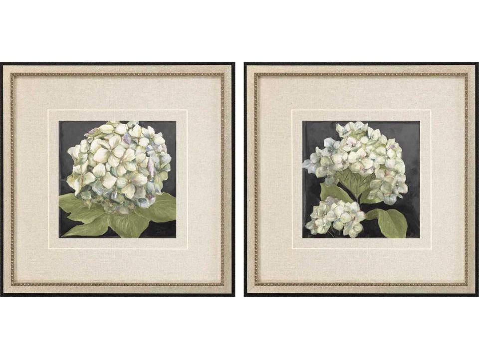 Hydrangeas on Black Framed Wall Art Set of 2 Floral Square