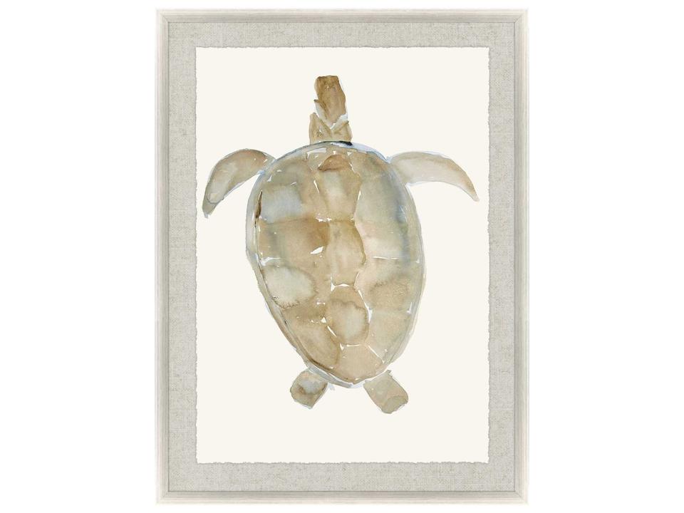 Neutral Turtle-I Framed Wall Art with Silver Leaf Finish