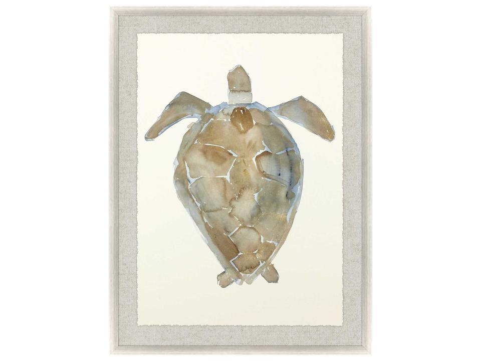Neutral Turtle II Framed Giclee Wall Art with Silver Leaf Wood Frame