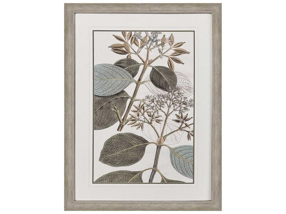 Flowering Botanical I Framed Wall Art in Distressed Silver Finish