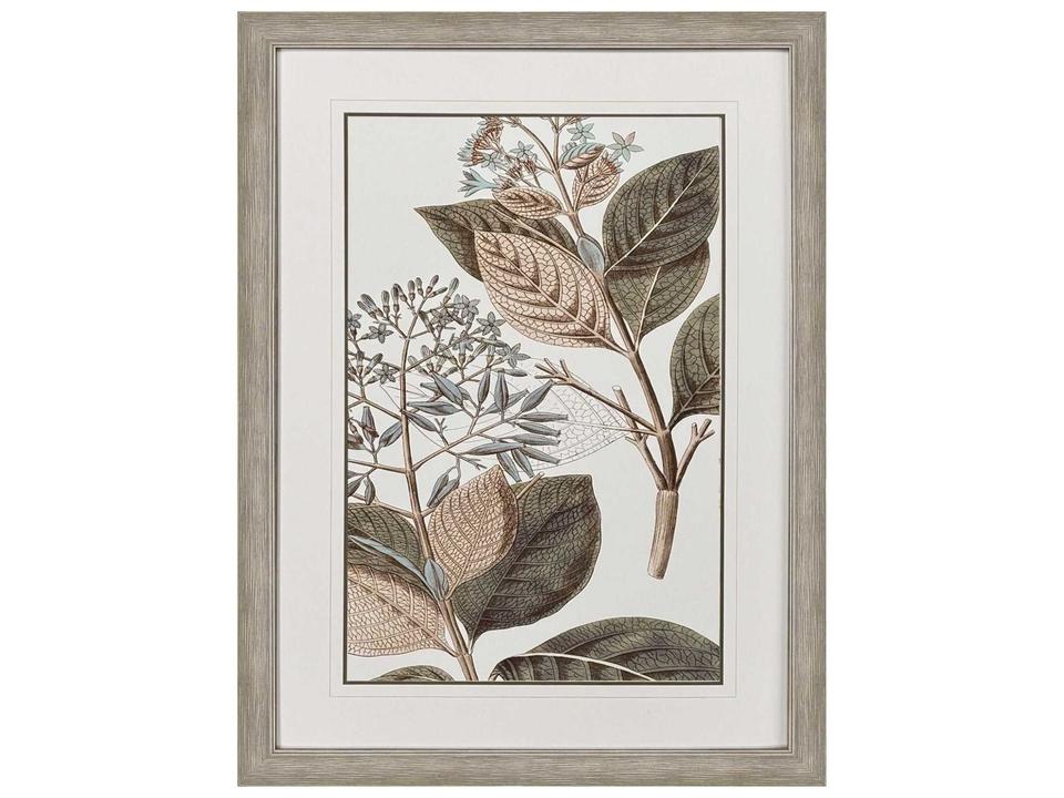 Florals Flowering Botanical III Framed Wall Art in Distressed Silver