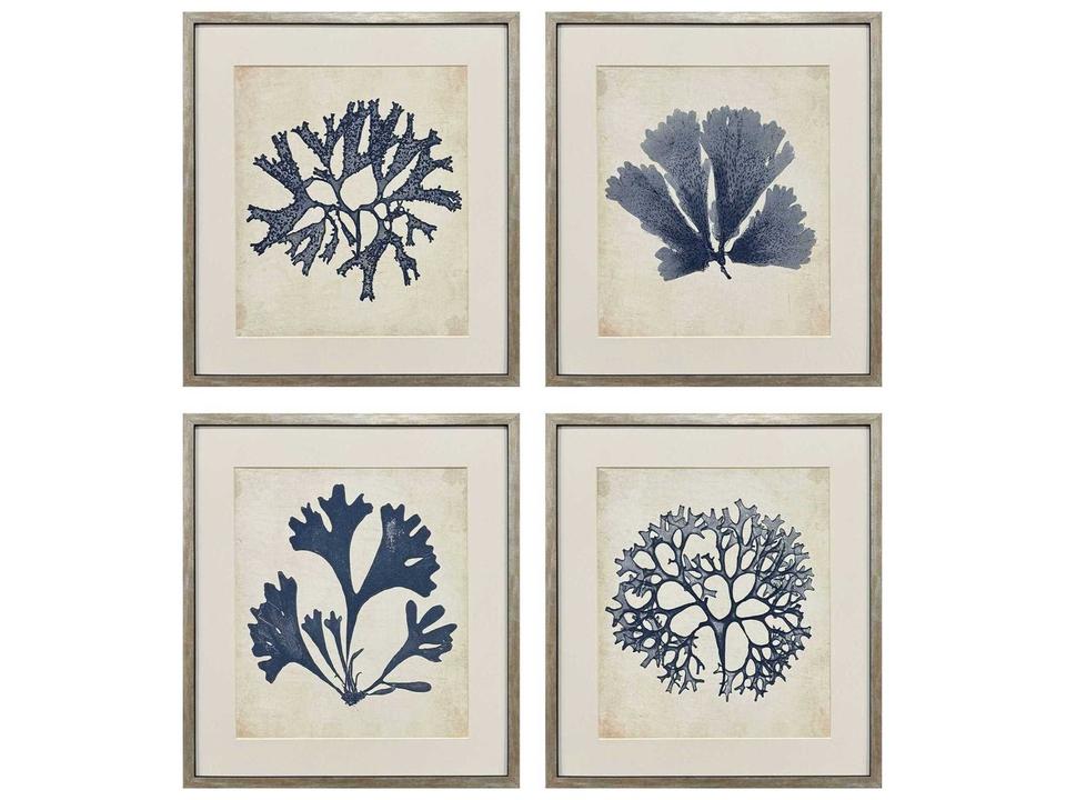 Naturals Indigo Sea Life Wall Art Set of 4 with Antique Silver Frames