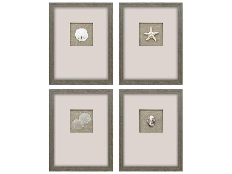 Naturals Natural Elements Shadow Box Set of 4 with Medium Wood-Grain Frame