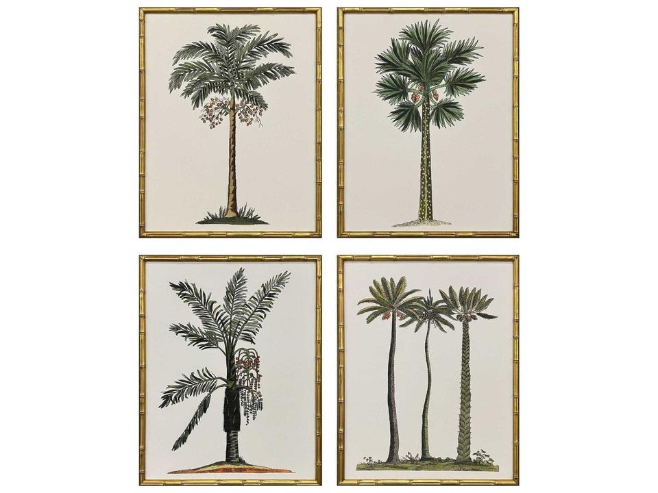 Florals Contemporary Palm-II Wall Art Set of 4 with Antique Gold Bamboo Frames