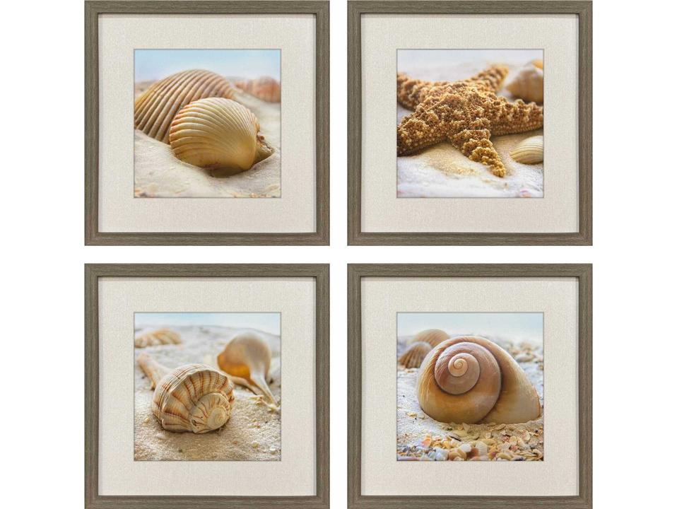 Naturals Beachy Shells Square Wall Art Set of 4 with Wood-Grain Frames