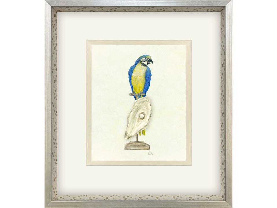 Treasure Parrot I Hand-Embellished Framed Wall Art in Silver