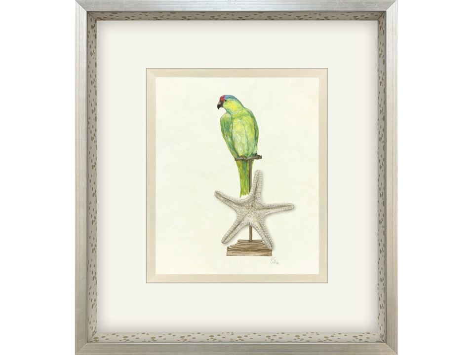 Treasure Parrot II Hand-Embellished Framed Art with Silver Wood Frame