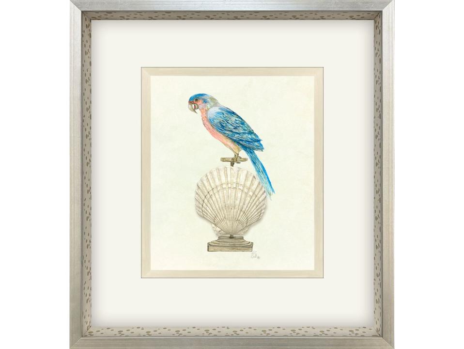 Treasure Parrot IV Hand-Embellished Framed Art by PopJoy Studio