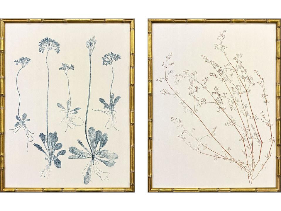 Floral Trace III Botanical Framed Giclee Art Set of 2