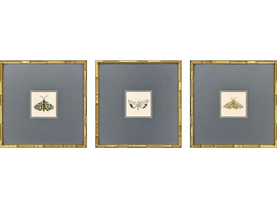 Pastel Moths Framed Wall Art Set of 3 Square Watercolor Gold Frame