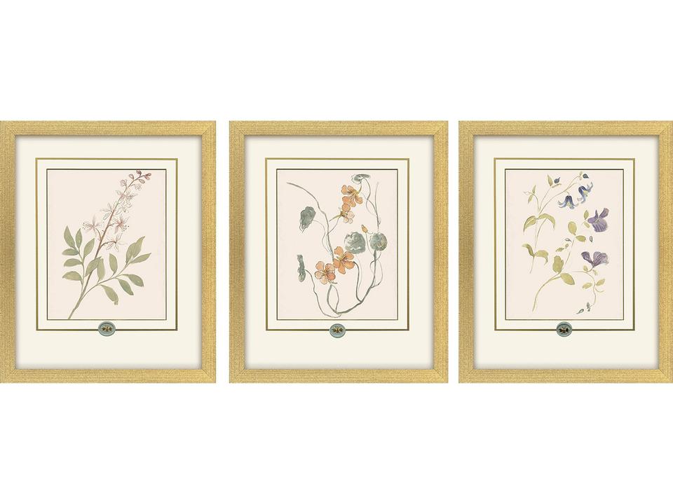 Garden Study I Floral Framed Art Set of 3 in Burnished Gold
