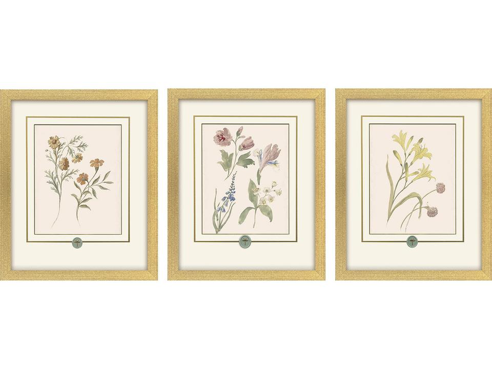 Garden Study II 3-Piece Framed Art Set with Gold Frame