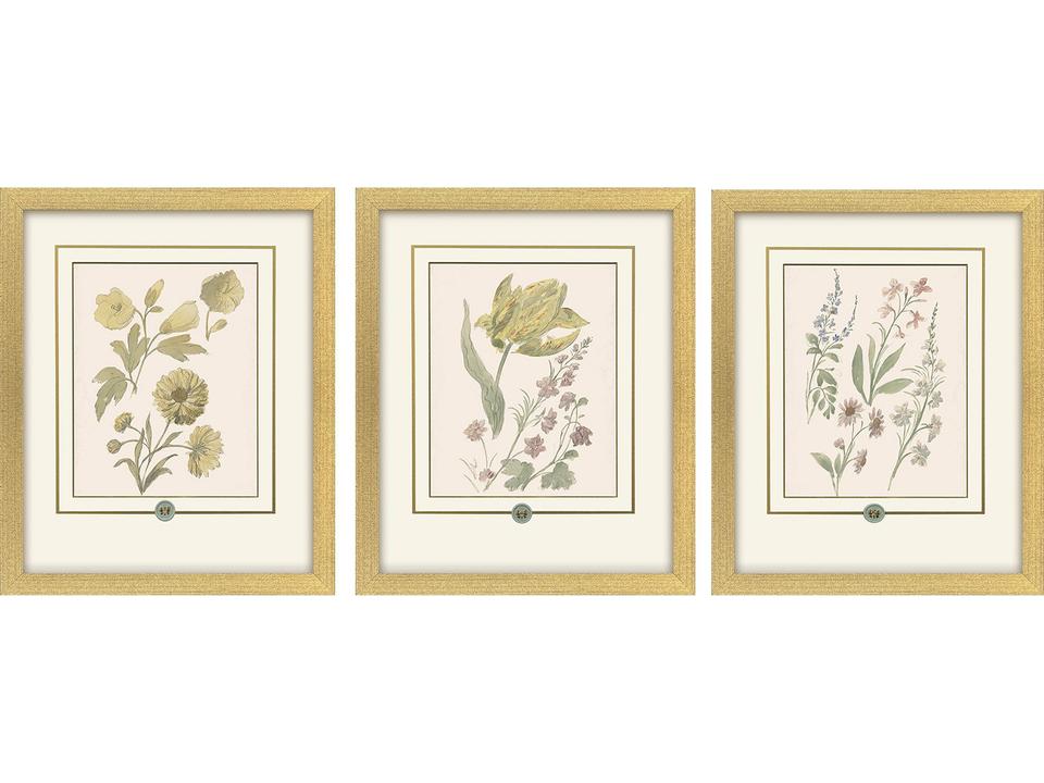Garden Study III Set of 3 Framed Botanical Art