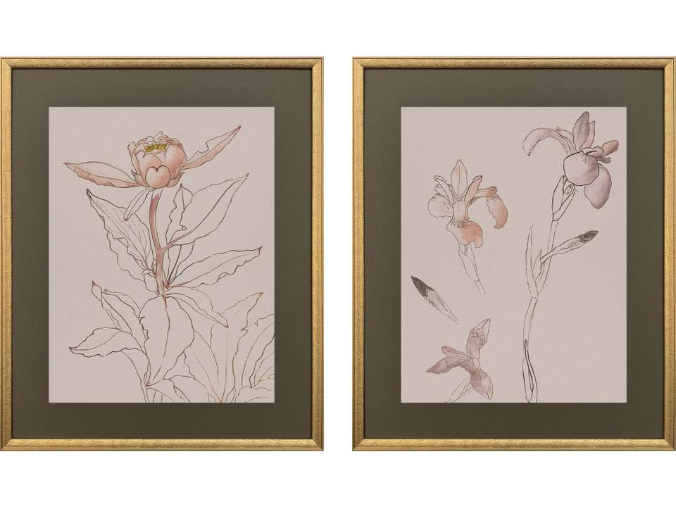 Delicate II Sketch Painting Set of 2