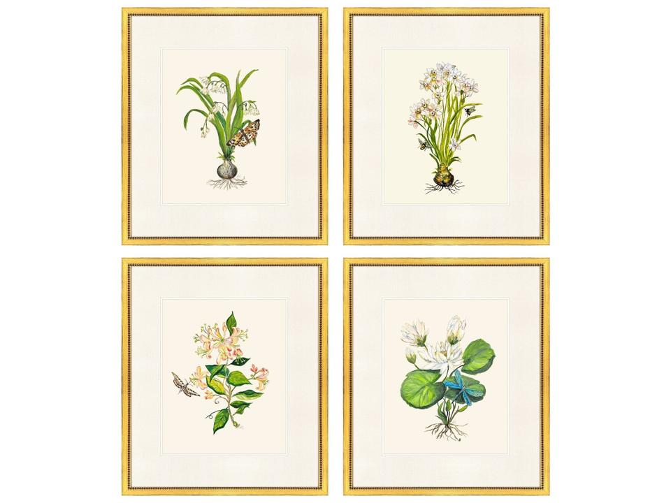 Delicate Medley I Painting Set of 4
