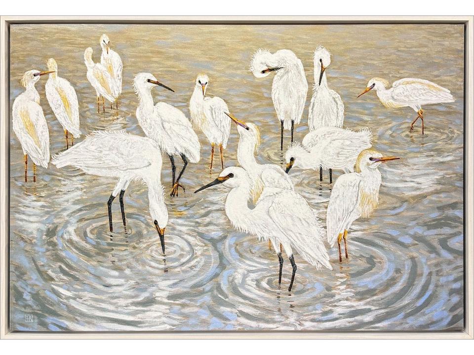 Herons and Egrets Canvas Wall Art