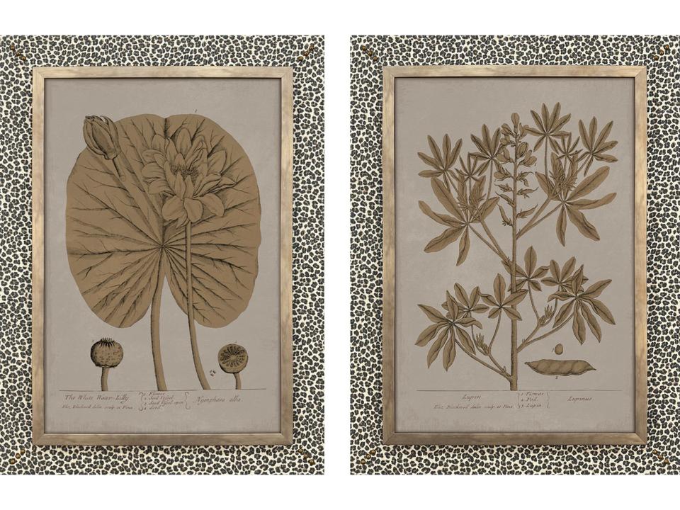 Botanical Wonder II Wall Sculpture - Set of 2