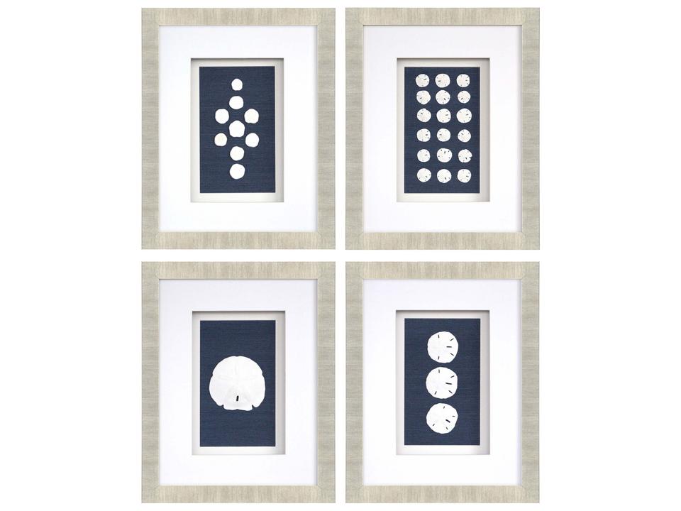 Naturals Sand Dollars Wall Art Set of 4 Framed Coastal Decor