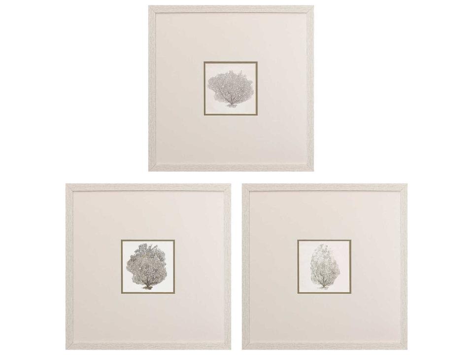 Waterside Corals-A Wall Art Set of 3 Distressed Whitewash Frame