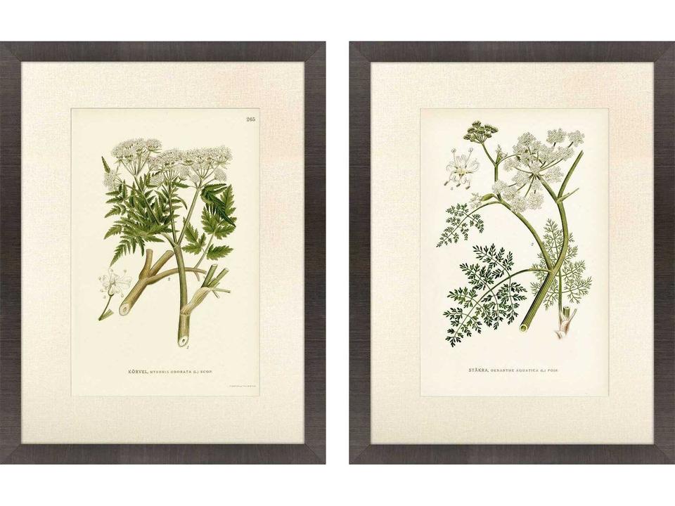 Queen's Lace Green and Neutral Framed Giclee Wall Art Set of 2