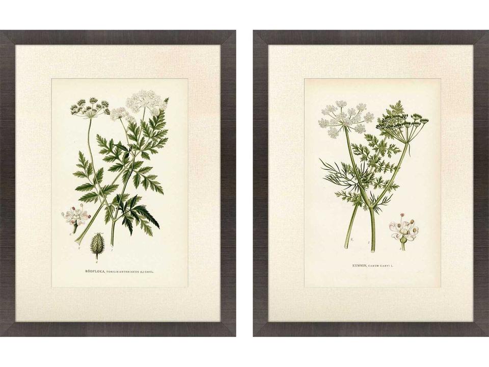 Queen's Lace 2-Piece Botanical Framed Art Set in Dark Espresso