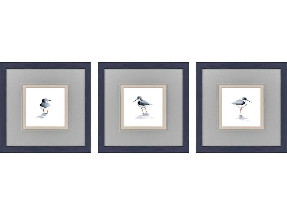 Shorebird Song I Painting Set of 3
