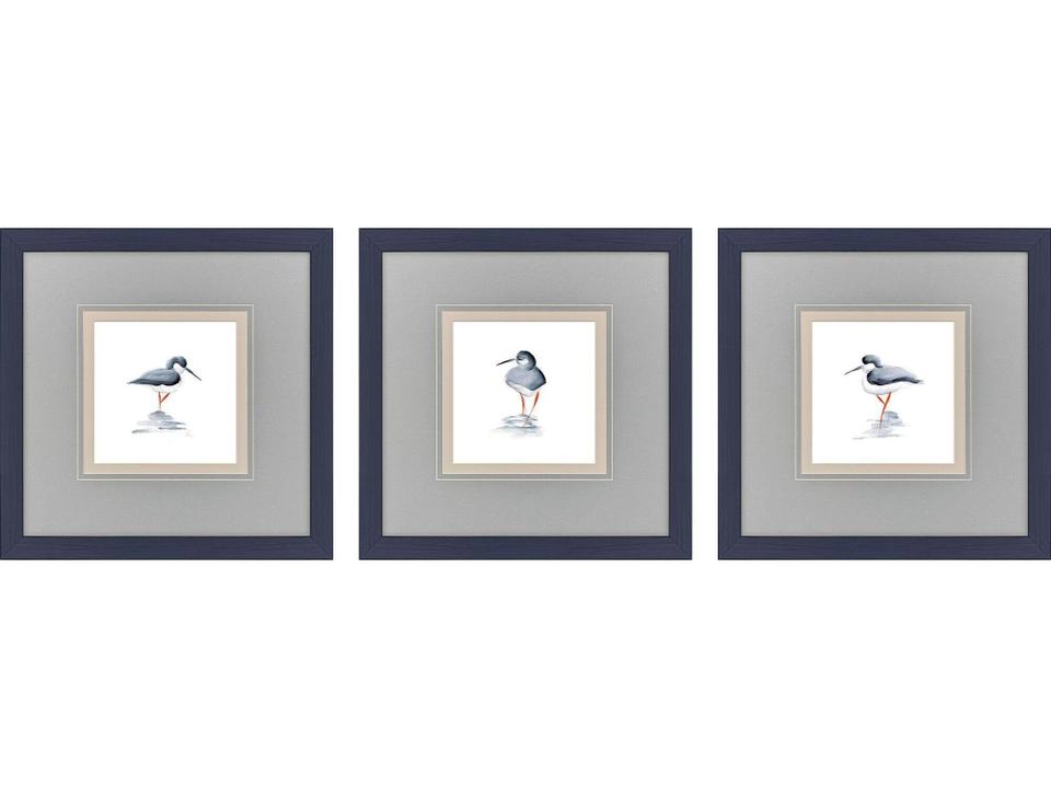 Shorebird Song II Painting Set of 3
