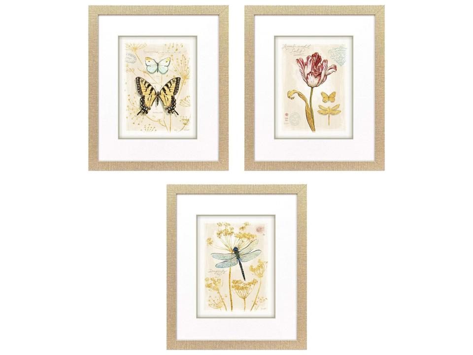 Nature's Wonder Painting Set of 3