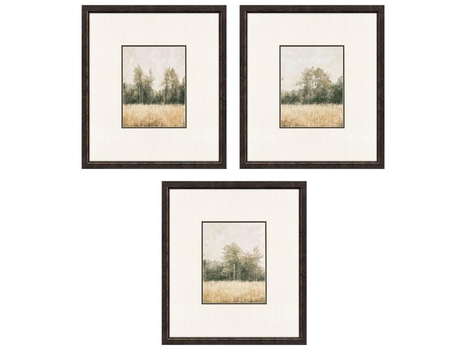 Watercolor Woods II Painting Set of 3