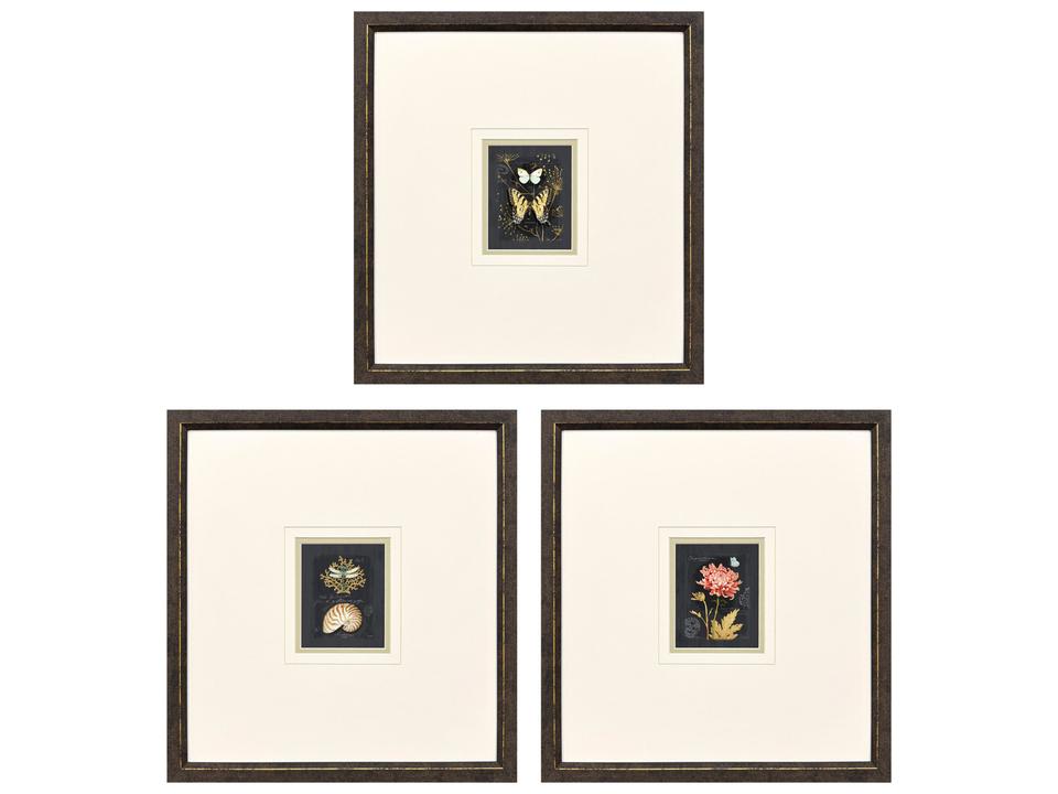 Petite Wonders II Framed Art Set of 3