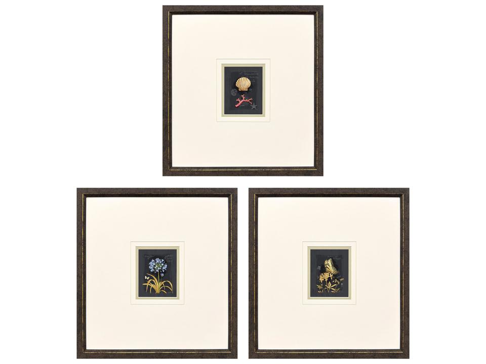 Petite Wonders III Framed Art Set of 3